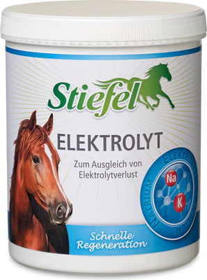 Stiefel Elektrolyt 