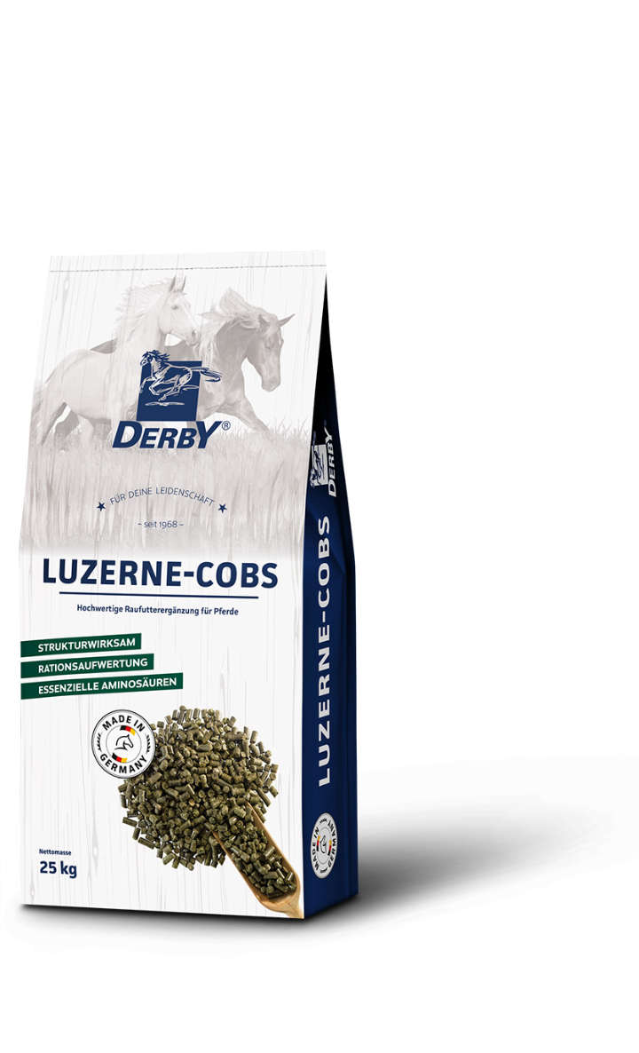 Derby Luzerne Cobs