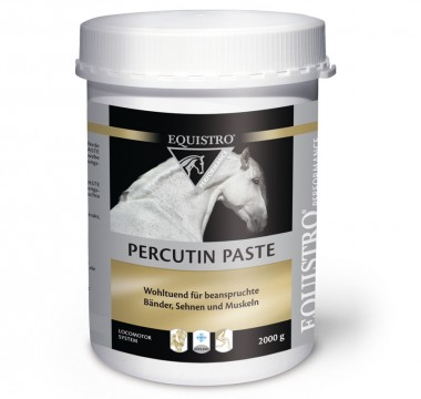 EQUISTRO Percutin-Paste