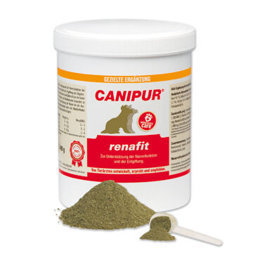 Canipur Renafit 