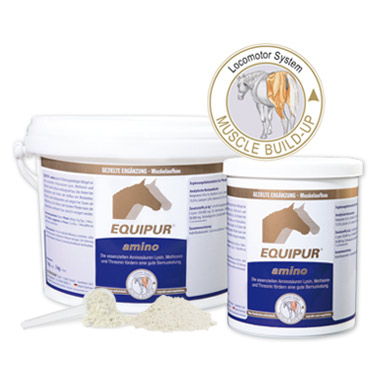 Equipur Amino 