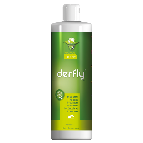 Derfen Derfly 