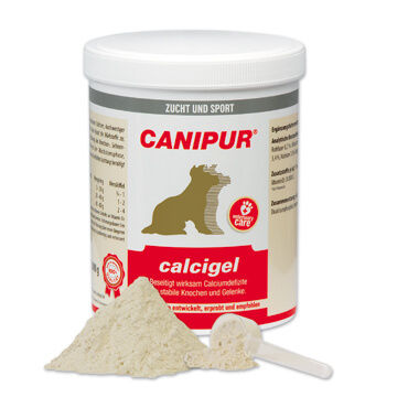 Canipur Calcigel