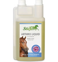 Stiefel Arthro Liquid 