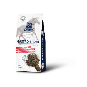 Derby Gastro Sport