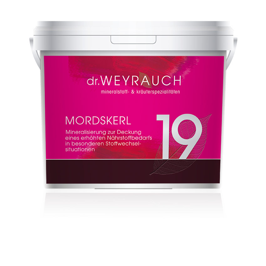 Dr. Weyrauch Nr 19 Mordskerl 